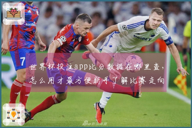 世界杯投注app比分数据在哪里查，怎么用才最方便新手了解比赛走向