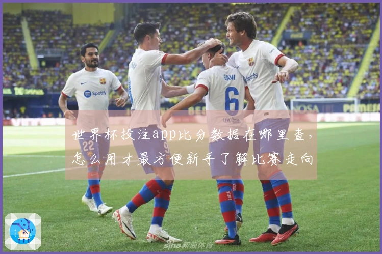 世界杯投注app比分数据在哪里查，怎么用才最方便新手了解比赛走向